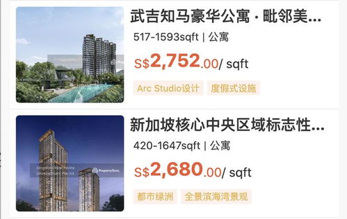 新加坡房產(chǎn)經(jīng)紀最怕什么 不是市場冷，是中國人搜不到你