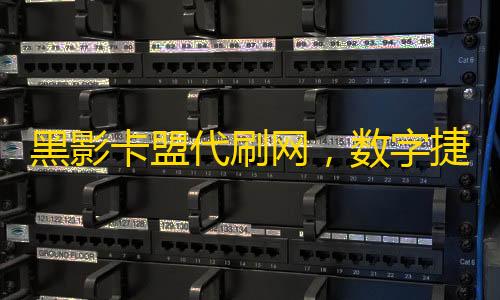 黑影卡盟代刷網(wǎng) 數(shù)字捷徑背后的隱秘江湖與安全迷思