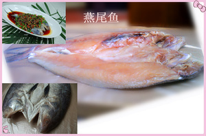 淡水養殖海鱔魚 市場前景與供應鏈深度解析